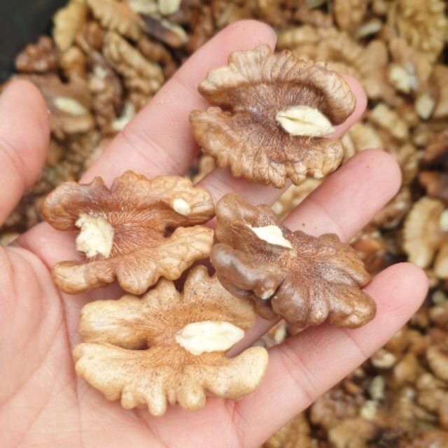 Nhân Óc Chó Mỹ  bao thơm ngon ko hôi dầu 500g