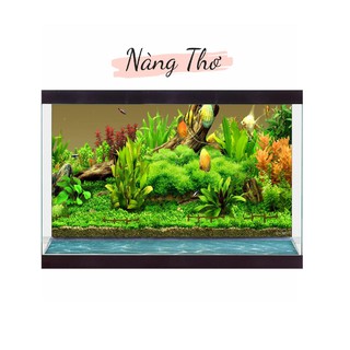 TRANH DÁN HỒ CÁ NHIỀU KÍCH THƯỚC_THIẾT KẾ NÀNG THƠ