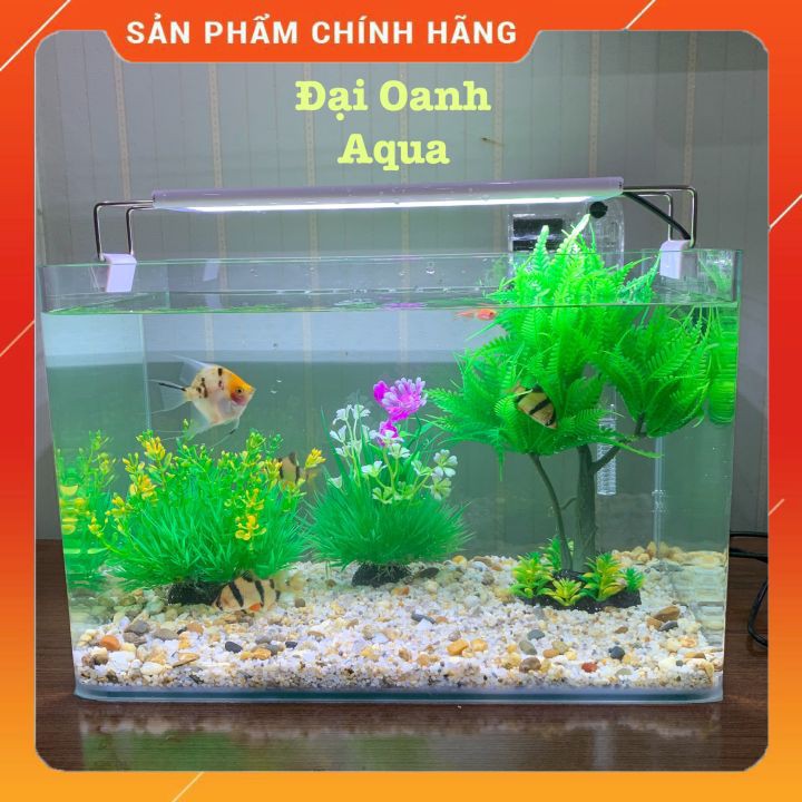 Bộ Bể Cá Mini Để Bàn, Văn Phòng dài 35 cm - Bể Cá Cảnh Mini Trang Trí Đủ 5 Món