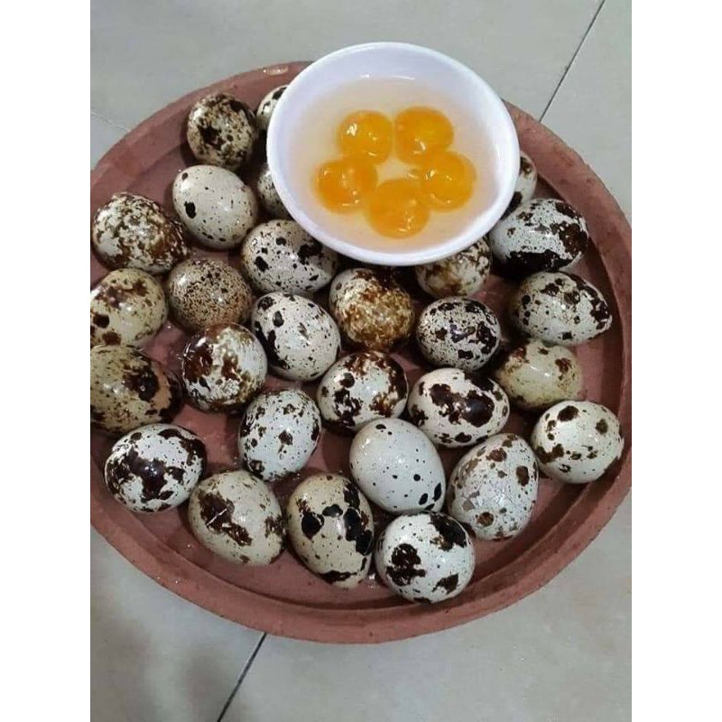 TRỨNG CÚT MUỐI 40 trứng/70k