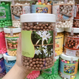 500gr Viên mầm hạt trinh nữ hoàng cung-cao xạ đen-làm đẹp-hỗ trợ sức khỏe