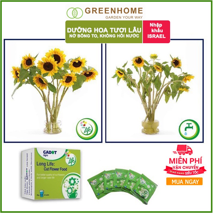 Dưỡng hoa lâu tàn Long Life, gói 5gr, hoa tươi lâu, nở bông to, không bị hôi nước |Greenhome