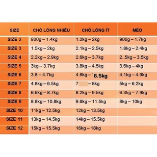 Áo Thun Có Tay Chó Mèo - Thời Trang