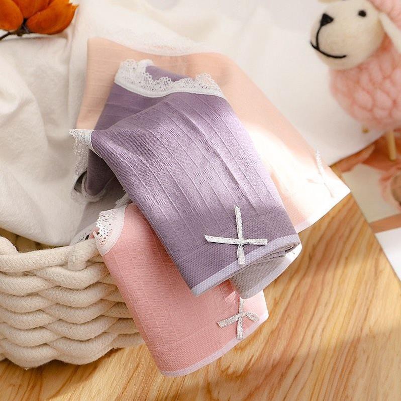 Hộp 5 Quần Cotton Viền Ren Thiên Nga Co Dãn 4 Chiều,