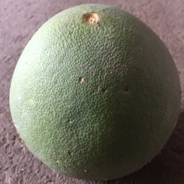 vỏ bưởi tươi 1 kg