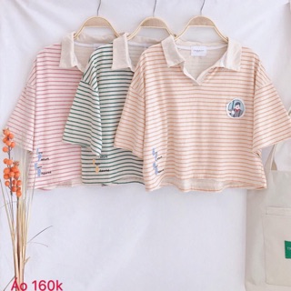 Áo thun sọc ngang cổ bẻ