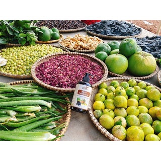 Dầu Gội Thảo Dược