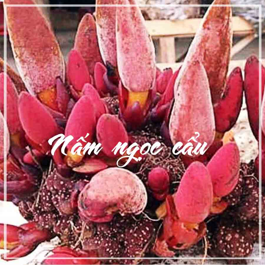 Ngọc cẩu tím khô 1kg