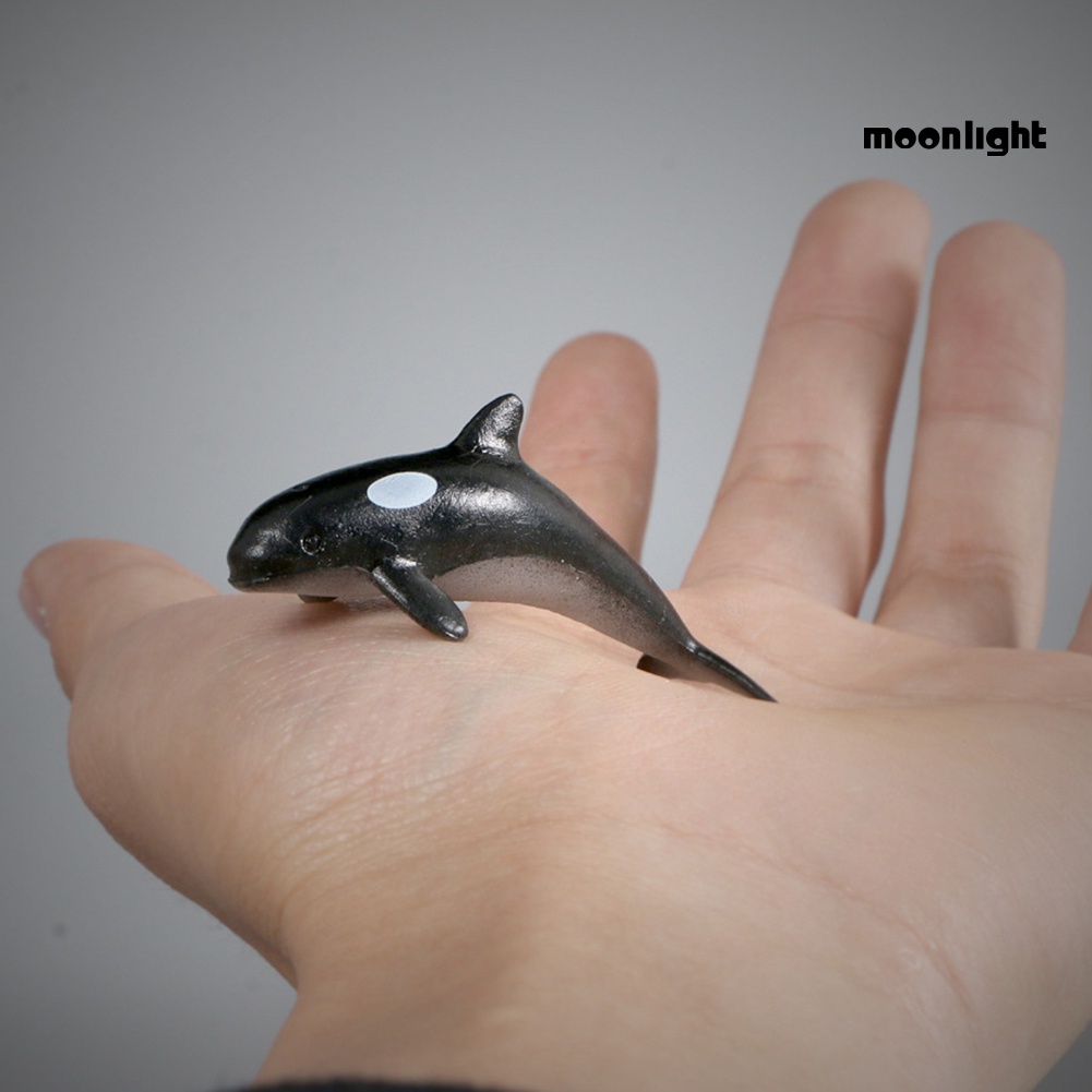 Bộ 12 mô hình cá voi / cá mập / cá voi mini bằng pvc độc đáo cho bé