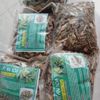 Cây An Xoa chữa bệnh gan