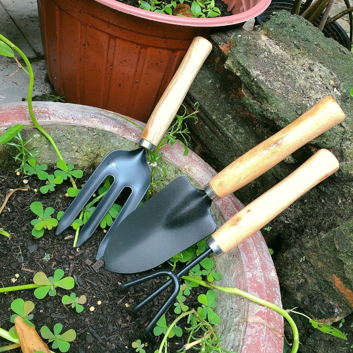 Bộ Dụng Cụ Làm Vườn Cán Gỗ Garden Tool- lớn