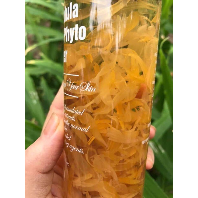Nước Hoa Hồng Hoa Cúc SNO Calendula Herbal Phyto Hàn Quốc