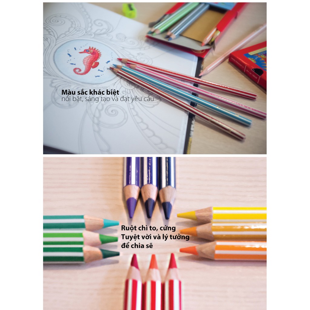 Bộ 1 hộp bút Chì Màu STABILO Swans Premium Edition 36 màu + 1 Hộp Swans Premium 12 màu cây ngắn (CLP1868-36G)