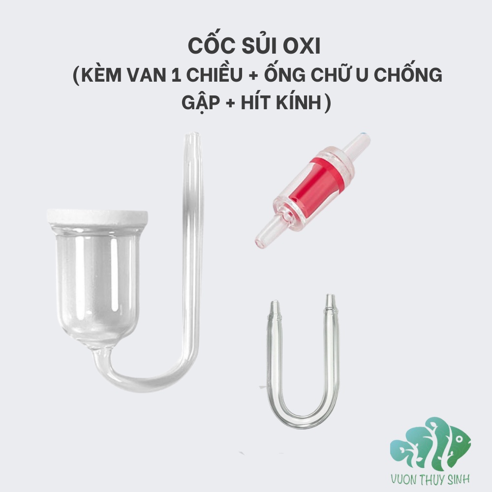 Cốc sủi CO2 thuỷ tinh + ống chữ U chống gập + van một chiều