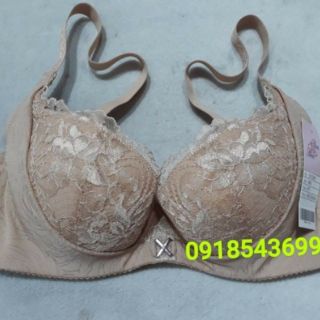Áo Bonbon Bv 3385