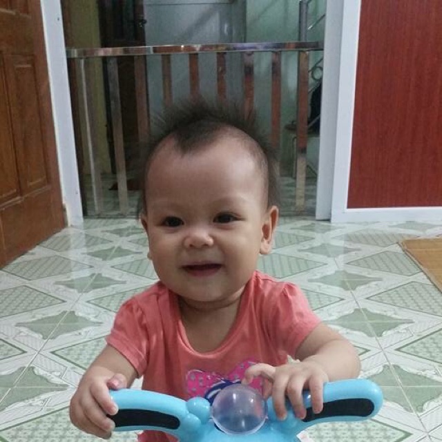 Bô thỏ có nhạc