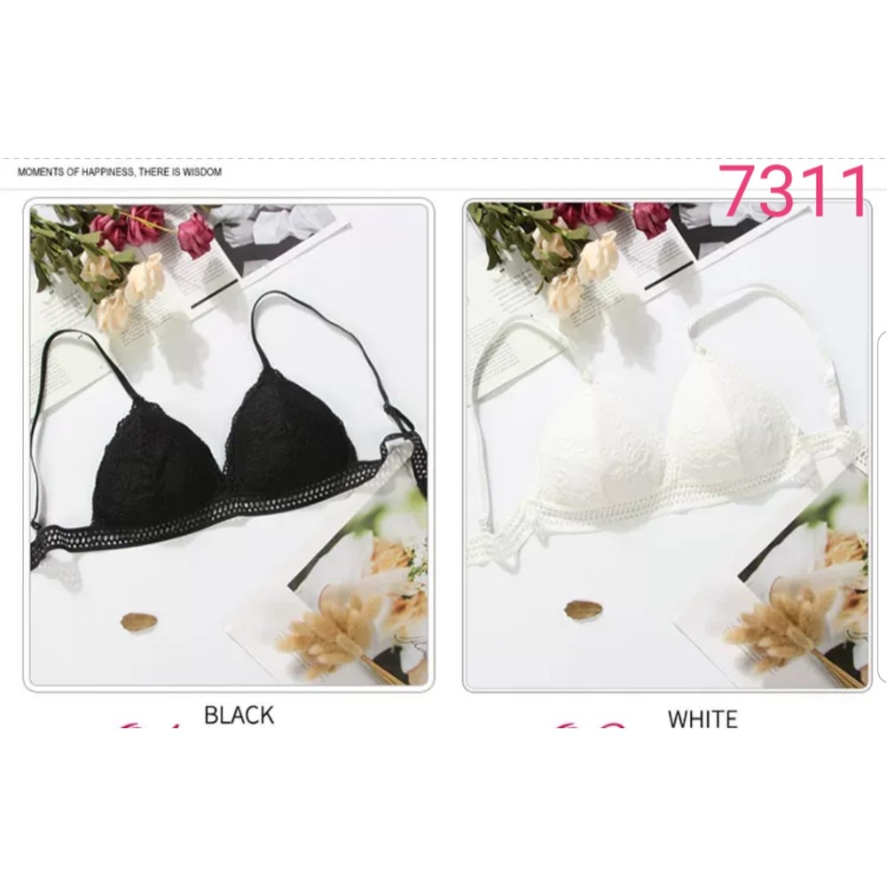 Áo Bra Ren Đệm Mỏng Cài Sau Mã Mới 7311 Hàng Loại Đẹp