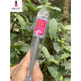 Nam châm mắt mèo nail viet