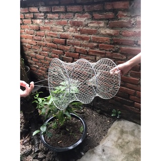 Combo  10 lồng bẫy cua đồng.