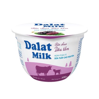 Sữa chua ăn Dalatmilk vị dâu tằm 100gr