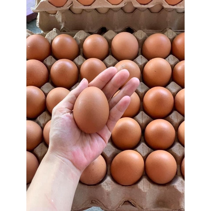 Trứng Gà Công Nghiệp Ngon Giao Siêu Tốc 1h