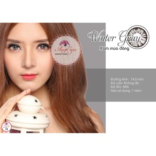 Kính áp tròng classic 6-12h winter nâu & xám 0 độ