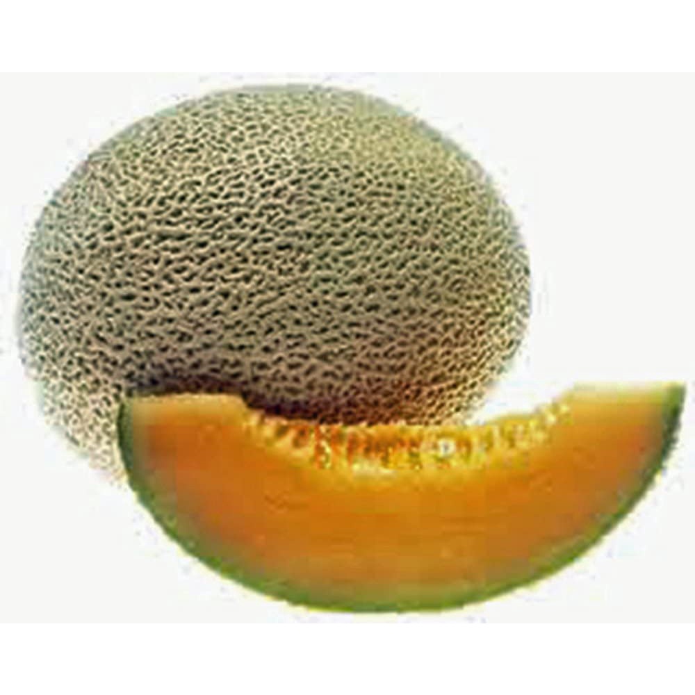 HẠT GIỐNG DƯA LWOIS SIÊU NGỌT Muskmellon, Edisto 47 Sweet, Heirloom, Organic, Sweet and Delicious