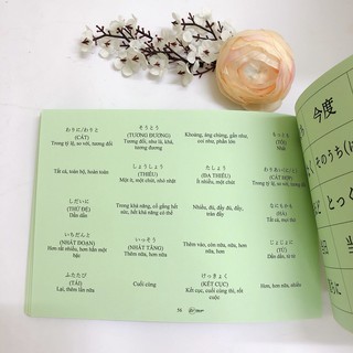 Sách - Thẻ học Từ vựng Mimikara N2