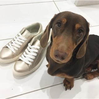 Giày  ELOISE SNEAKER