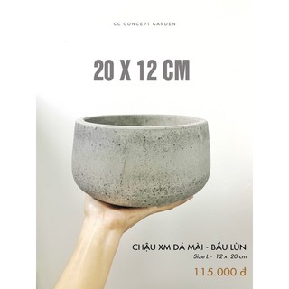 Chậu Xi Măng Đá Mài - Bầu Lùn 20x12cm
