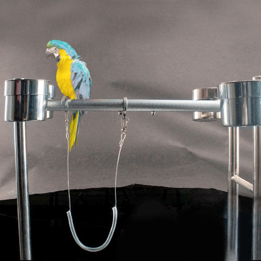 AARON1 Dây Dắt Thú Cưng Đi Dạo Siêu Nhẹ Chống Cắn Tiện Dụng Cho Lovebird / Cockatiel / Macaw