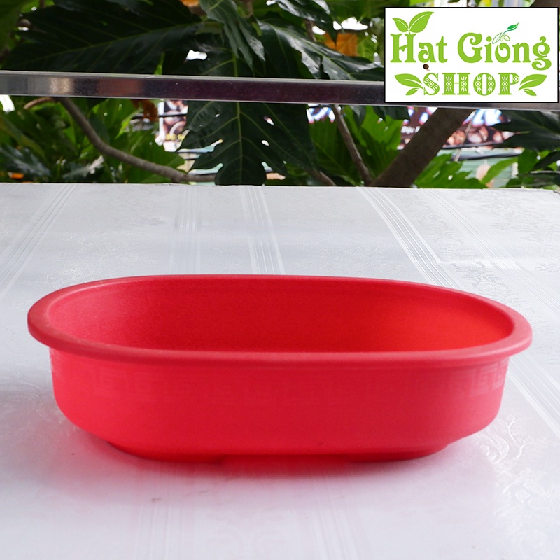 Chậu nhựa hình oval kt 27x7
