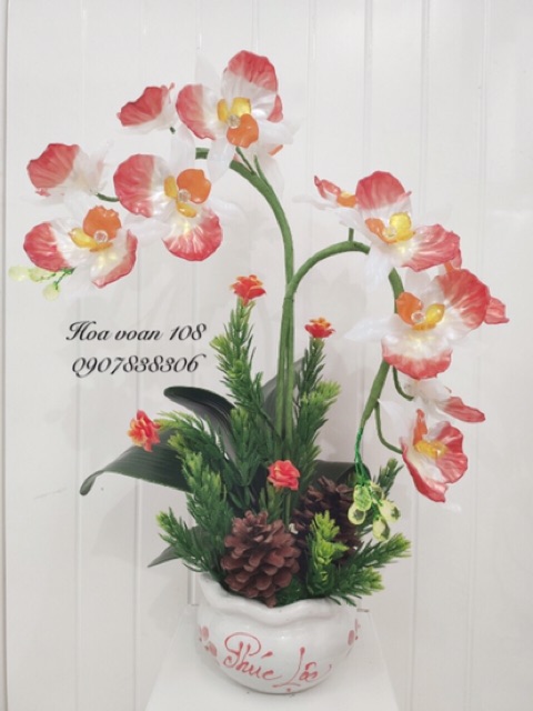 Hoa lan hồ điệp cao 45cm
