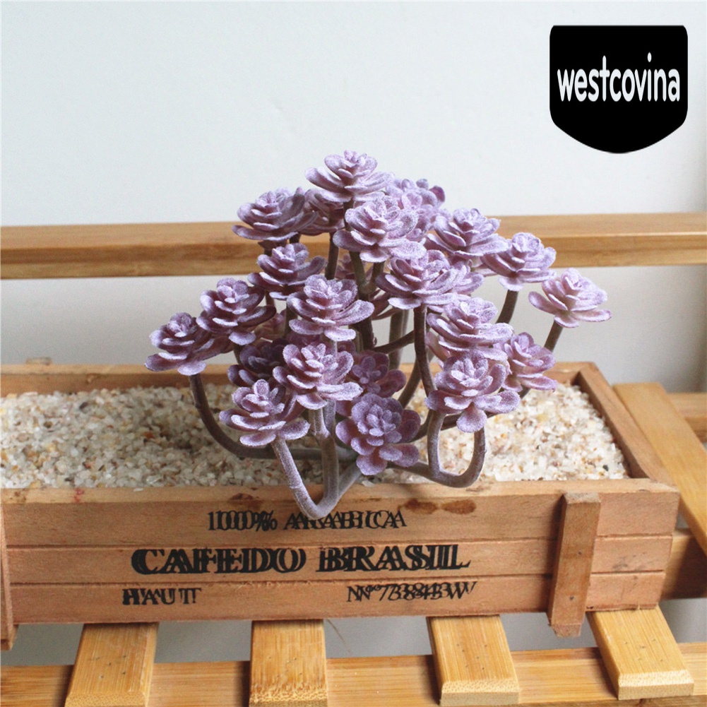[Hot]☀ 1 Chậu Cây Bonsai Để Bàn Trang Trí