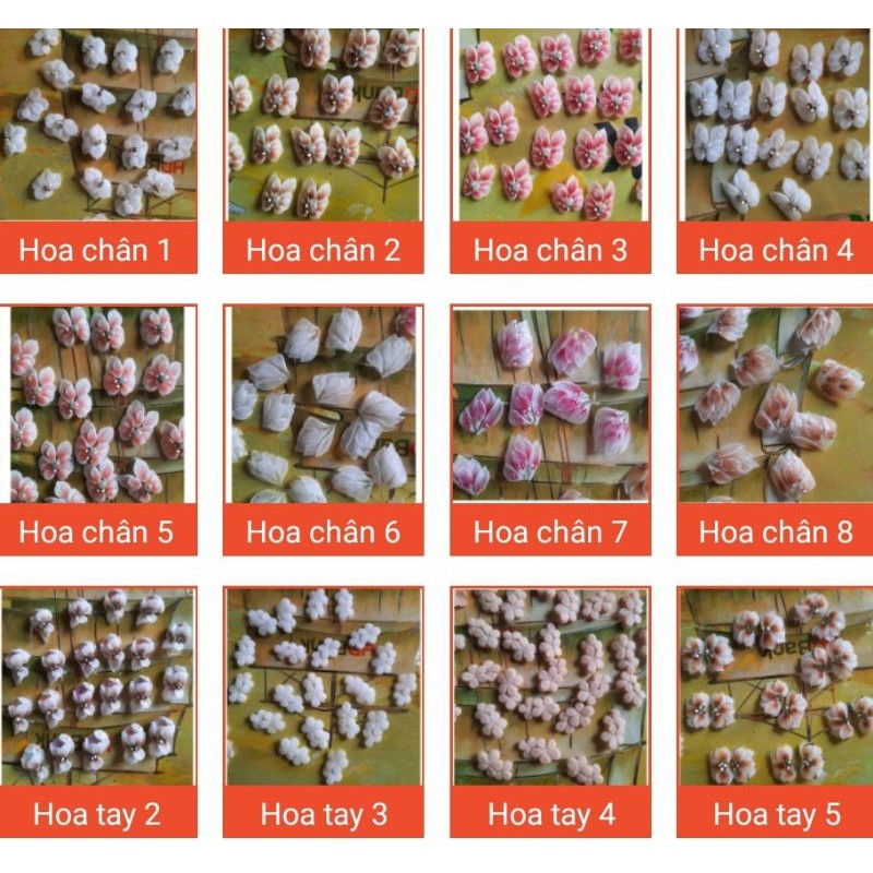 hoa bột nail chân tay nhiều mẫu