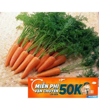 Gói 10 gr giống cà rốt mpvc luckyseadtg