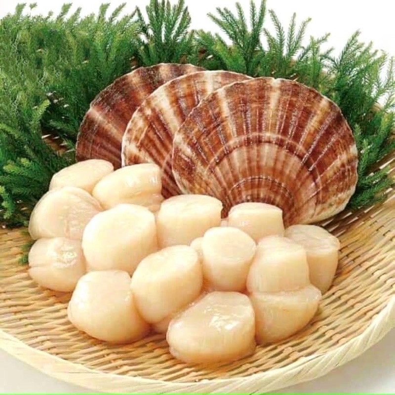 CỒI SÒ ĐIỆP 500gr