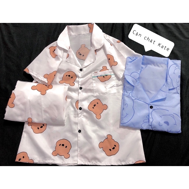 Bộ Đồ Ngủ Pijama Dài - dài tay 12 Mẫu Hoạ Tiết Xinh Xắn | BigBuy360 - bigbuy360.vn