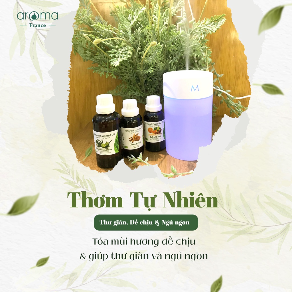 Bộ Tinh Dầu Xông Phòng Ngủ Aroma Bạch Đàn Chanh , Quế Khô , Cam Quế Giúp Thư Giãn , Dễ Chịu , Ngủ Ngon