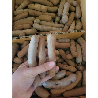 ME DỐT THÁI
