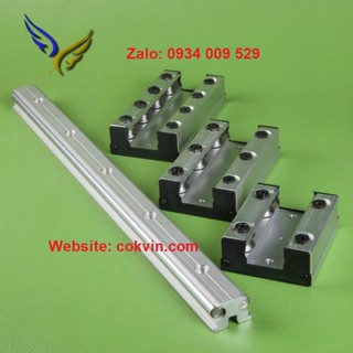 CON TRƯỢT (Ổ TRƯỢT)  LGB6