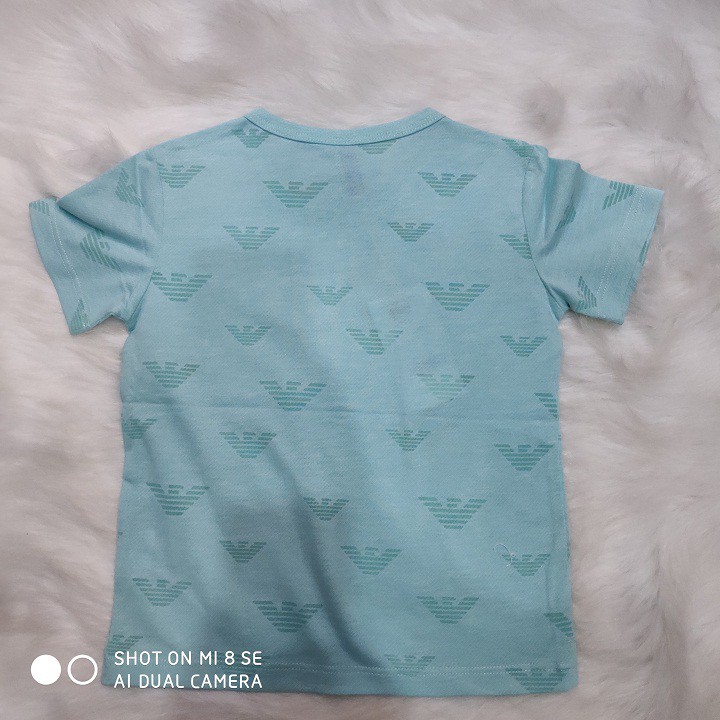 Áo thun bé trai, áo thu họa tiết nhiêu màu bé trai 013067