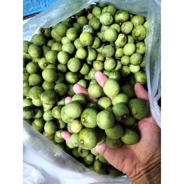 Sấu tươi Hà Nội