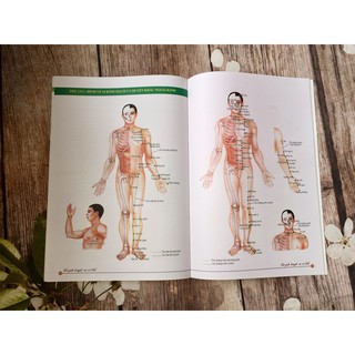 Đồ Giải Huyệt Vị Cơ Thể