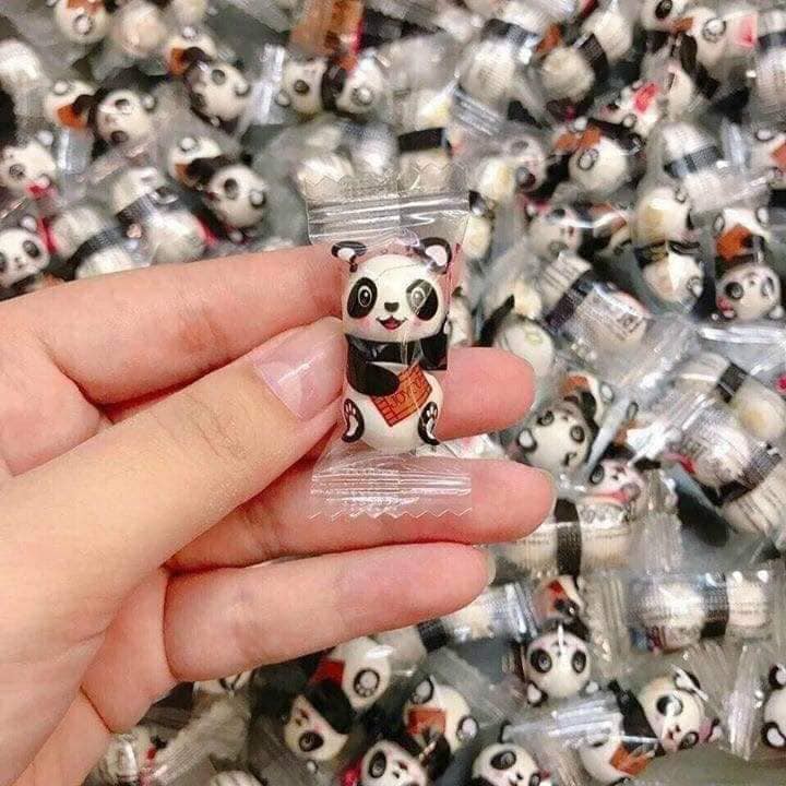 KẸO CHOCOLATE GẤU TRÚC PANDA HIỆU JOYCO CỦA NGA #150GRAM