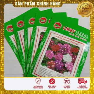 Hạt Giống Hoa Vân Anh ( VEBERNA)