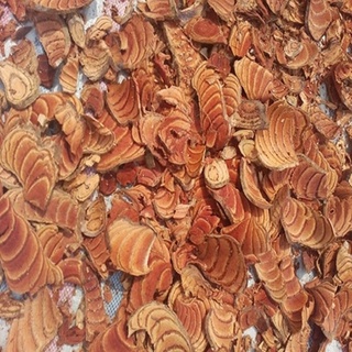 Kê huyết đằng (100gam)