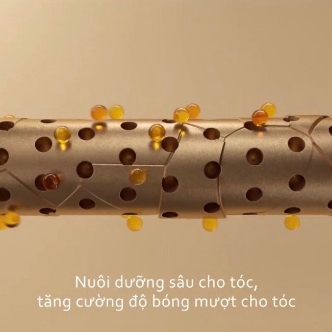 Dầu Gội Weilaiya Phục Hồi Đa Tầng Nấm Truffle Weilaiya (Sẵn Số Lượng Lớn)