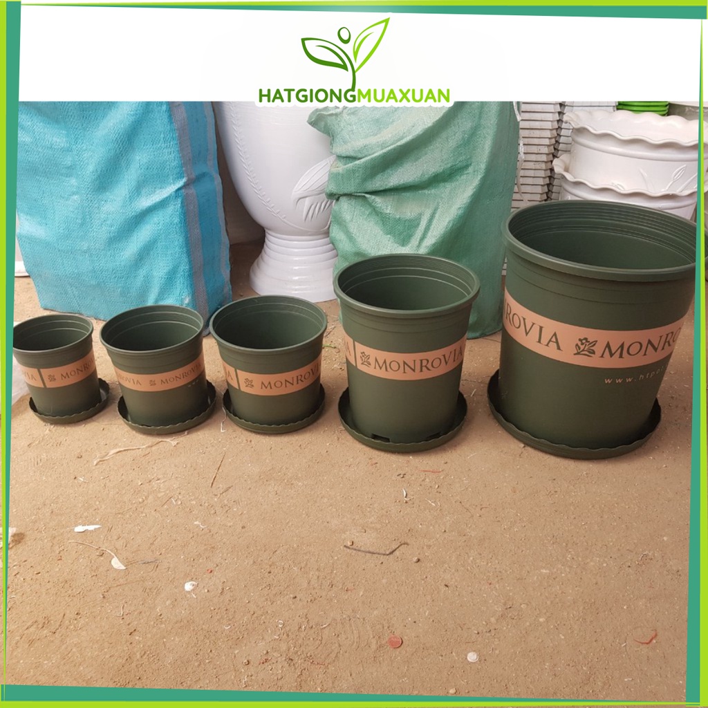 Set 02 Chậu Monrovia số 3 - 3GL Tặng Kèm đĩa lót