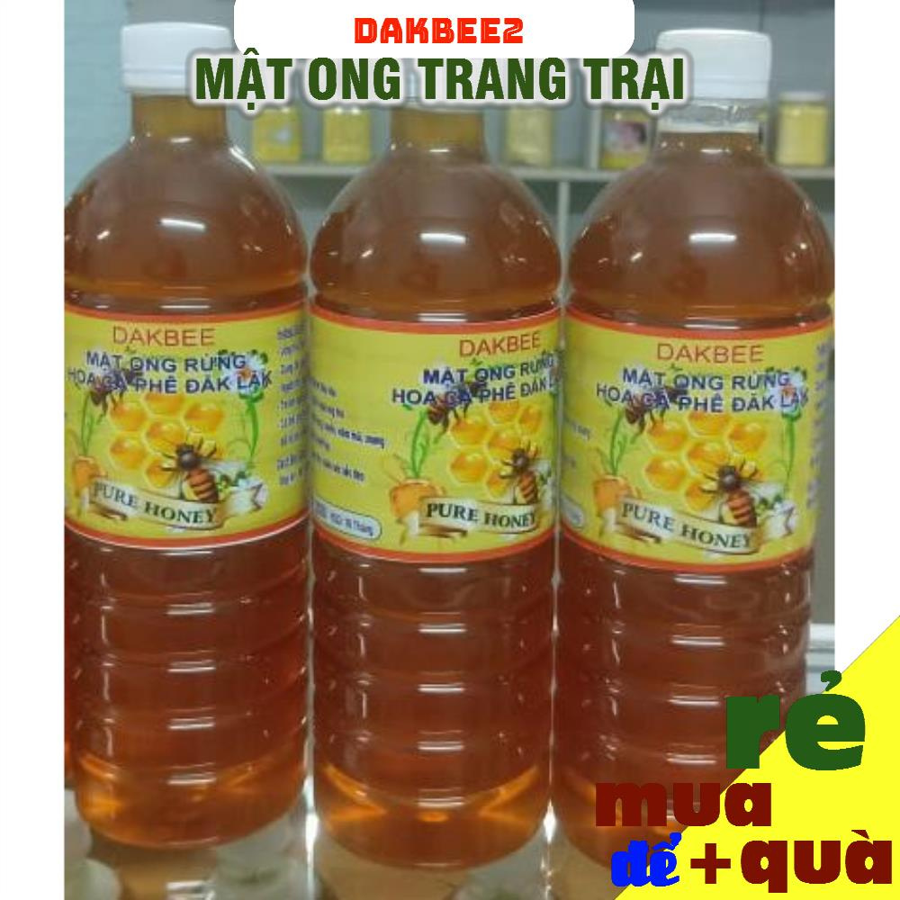 12 LÍT (12 CHAI) MẬT ONG RỪNG HOA CÀ PHÊ - GIÁ BÁN SỈ CAM KẾT CHẤT LƯỢNG, GIÁ ƯU ĐÃI KHÔNG QUA TRUNG GIAN - DAKBEE